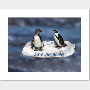 Penguin "Save our home" Posters and Art